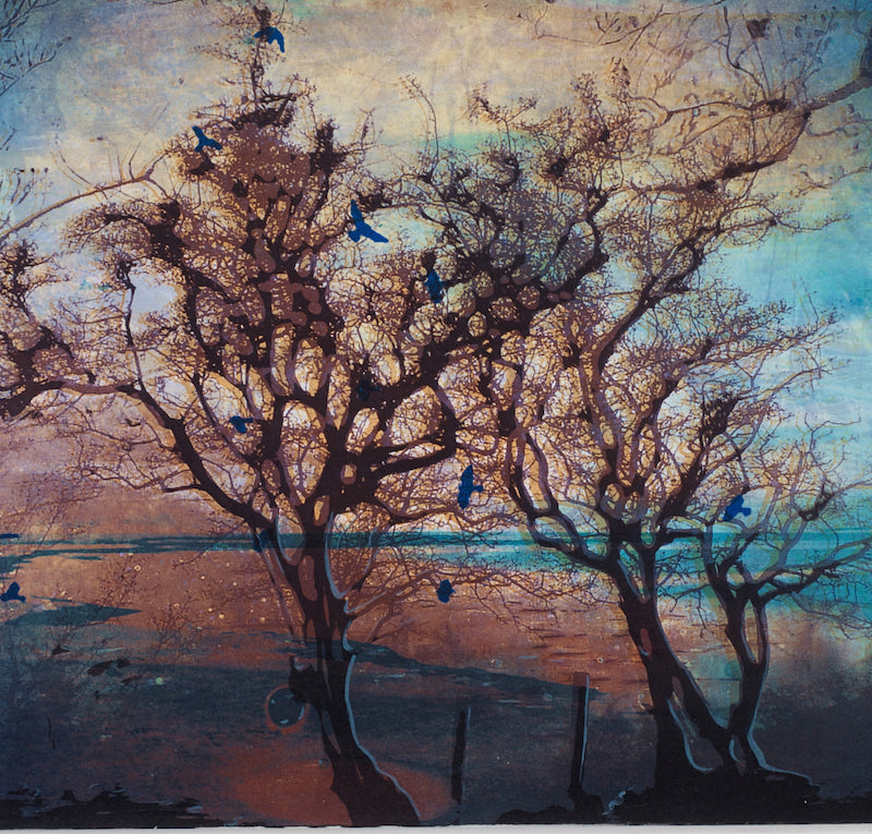Elizabeth Magill
