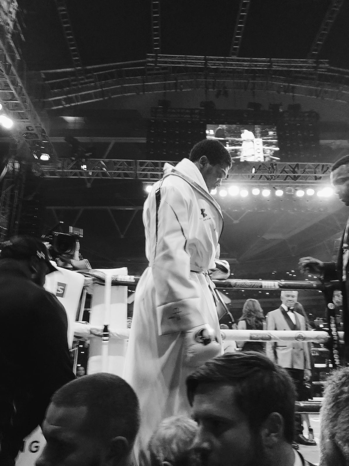 Anthony Joshua Entrance London 2018 (Sonya Jasinski)