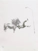 Falling Boy