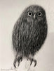 Elegant Fowl