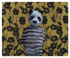 Half Pint The Panda Boy