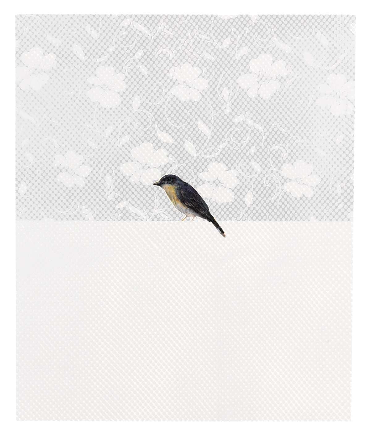 Birdy Two