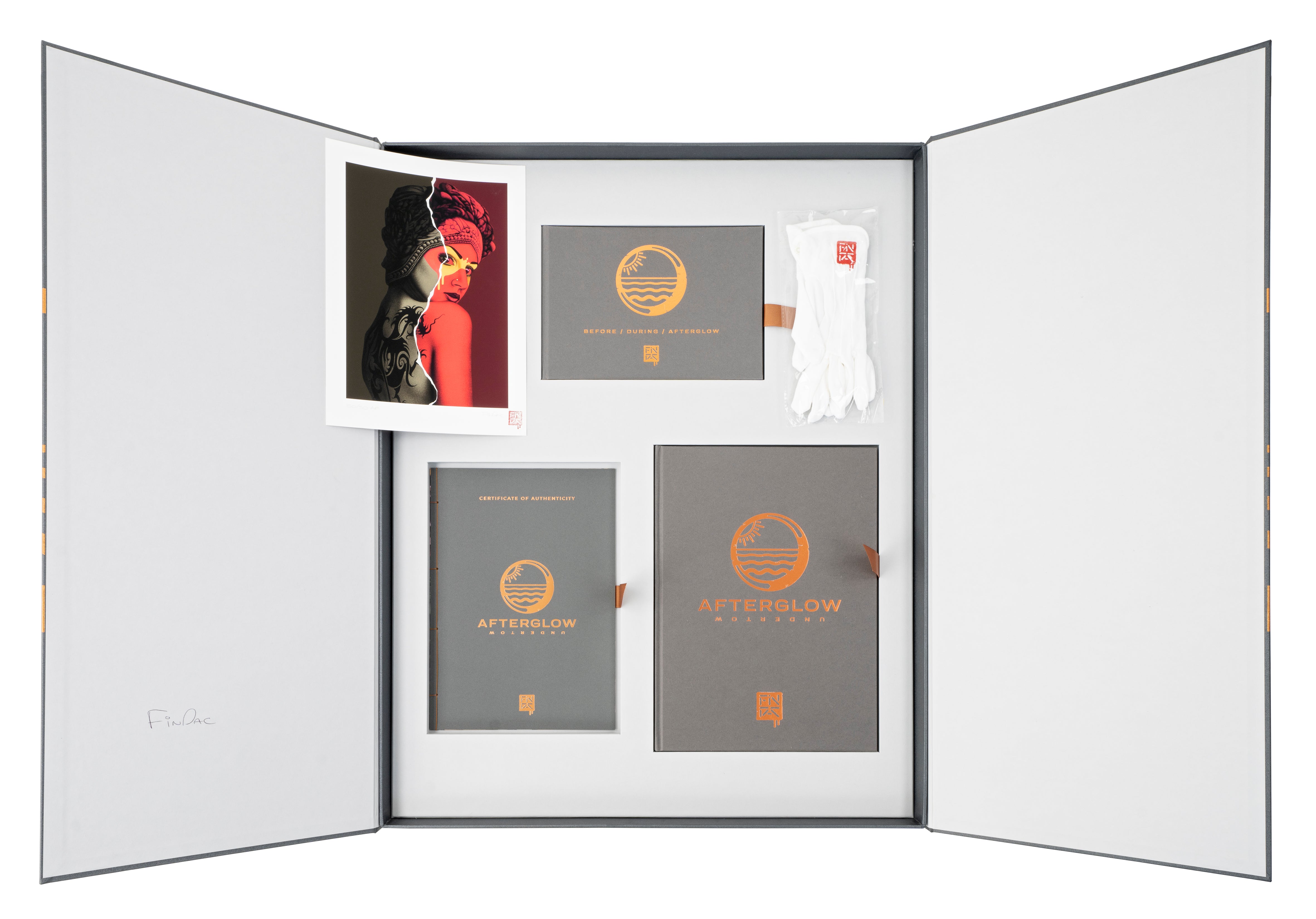 The Afterglow/Undertow Anniversary Box Set AP Edition (only 6 made!)