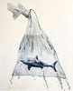 In The Bag