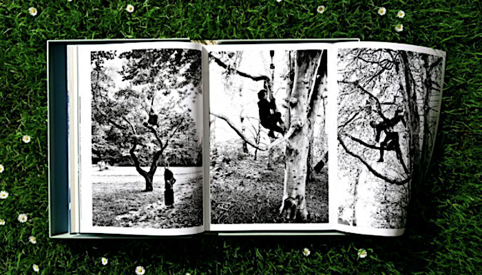 Bob Dylan: A Year And A Day. Daniel Kramer (Collector's Edition)
