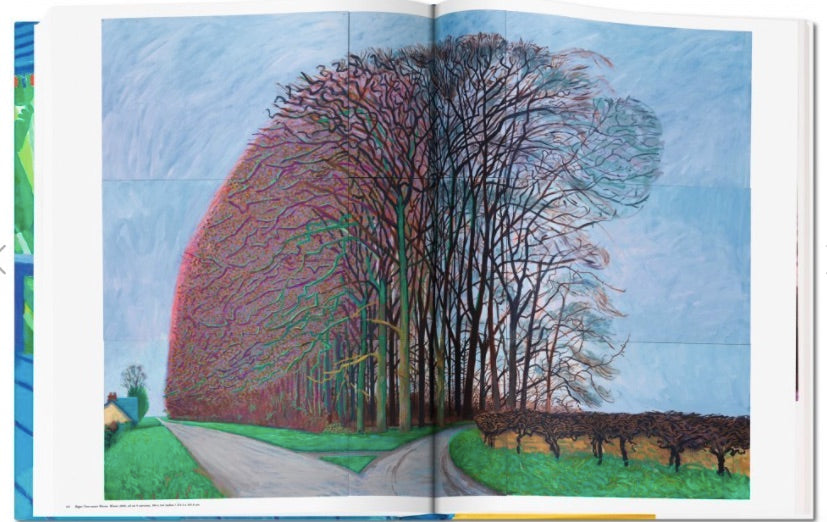 David Hockney. A Bigger Book, Collector's Edition