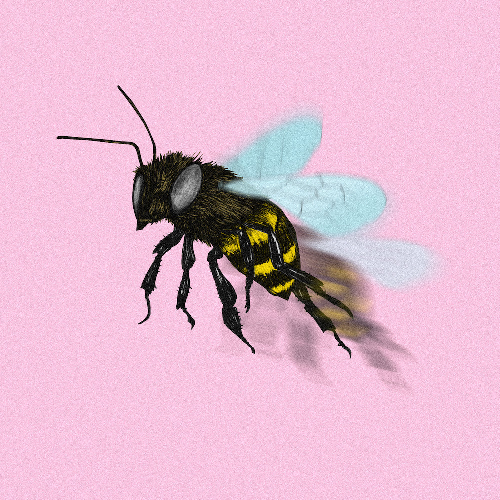 Bee Free