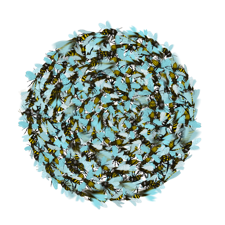 Bee Festival