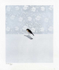 Bird III