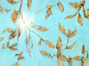Hope (Autumn Leaves)