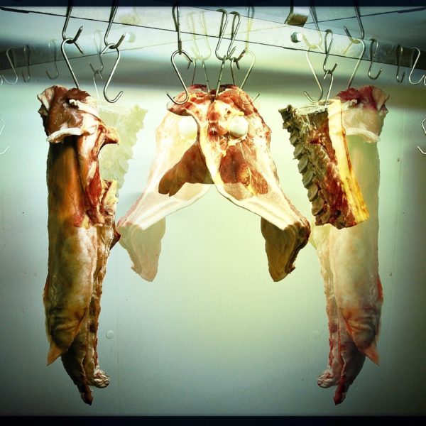Meat Study II
