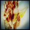 Meat Study I