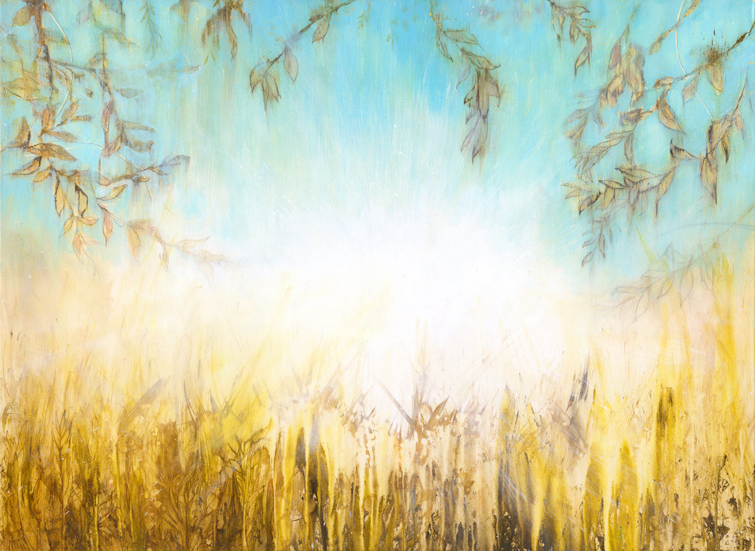 Sunrise Over The Meadow