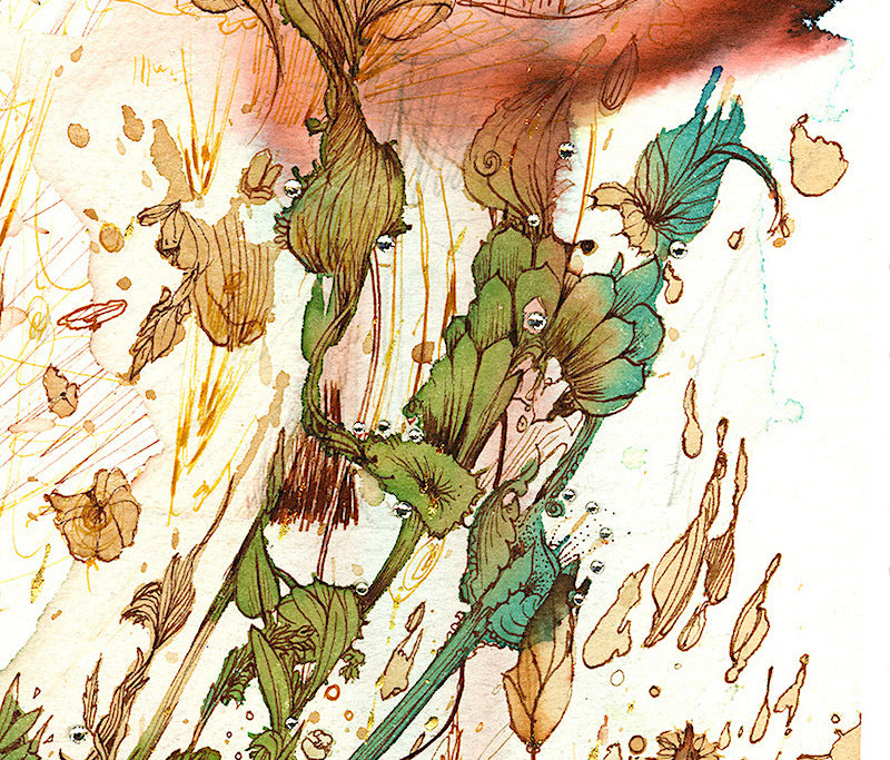 The Meadow