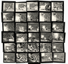 Annie Leibowitz, signed **SUMO book & print** limited edition