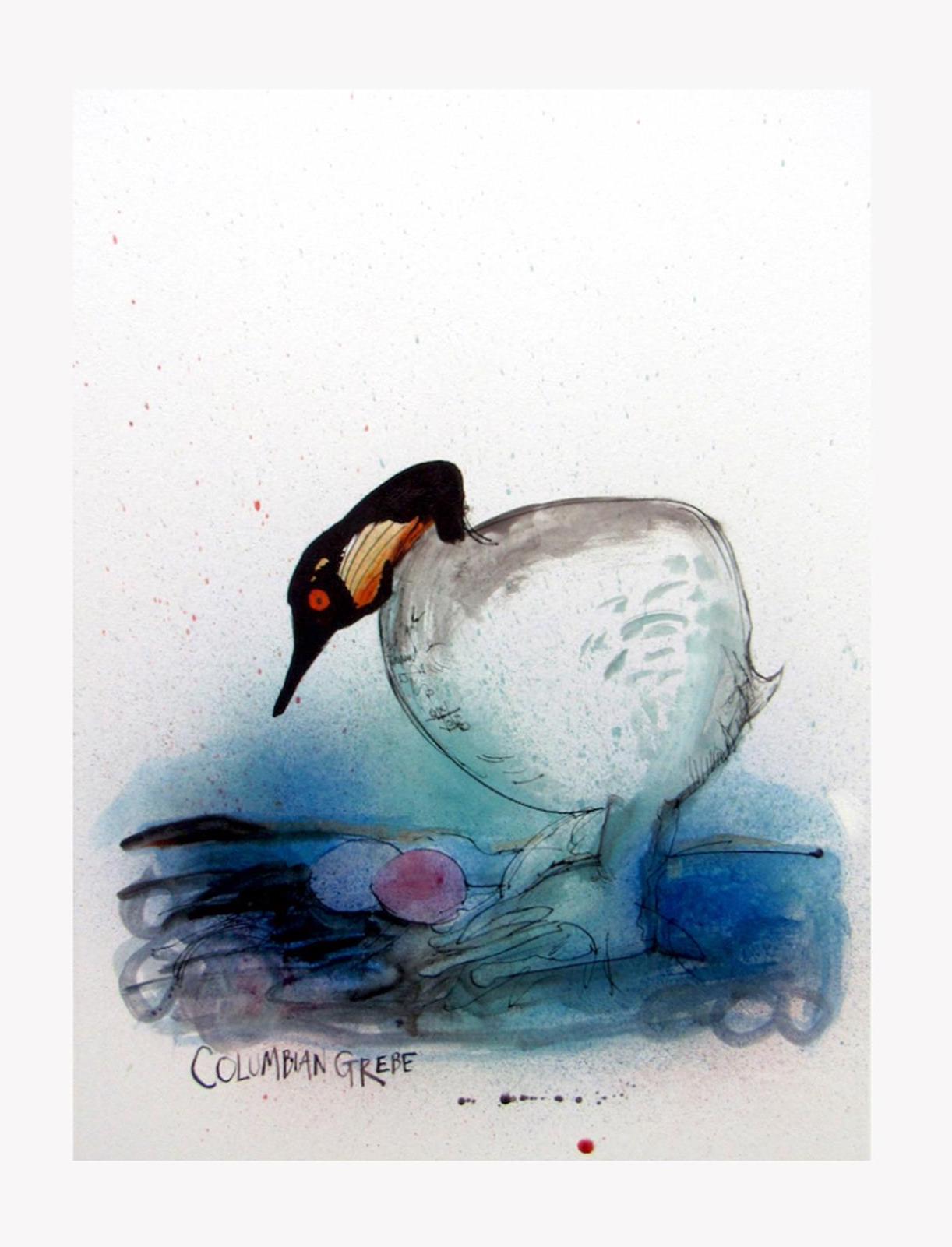Col Grebe West Contemporary Editions - 'Columbian Grebe' bird print by Ralph Steadman