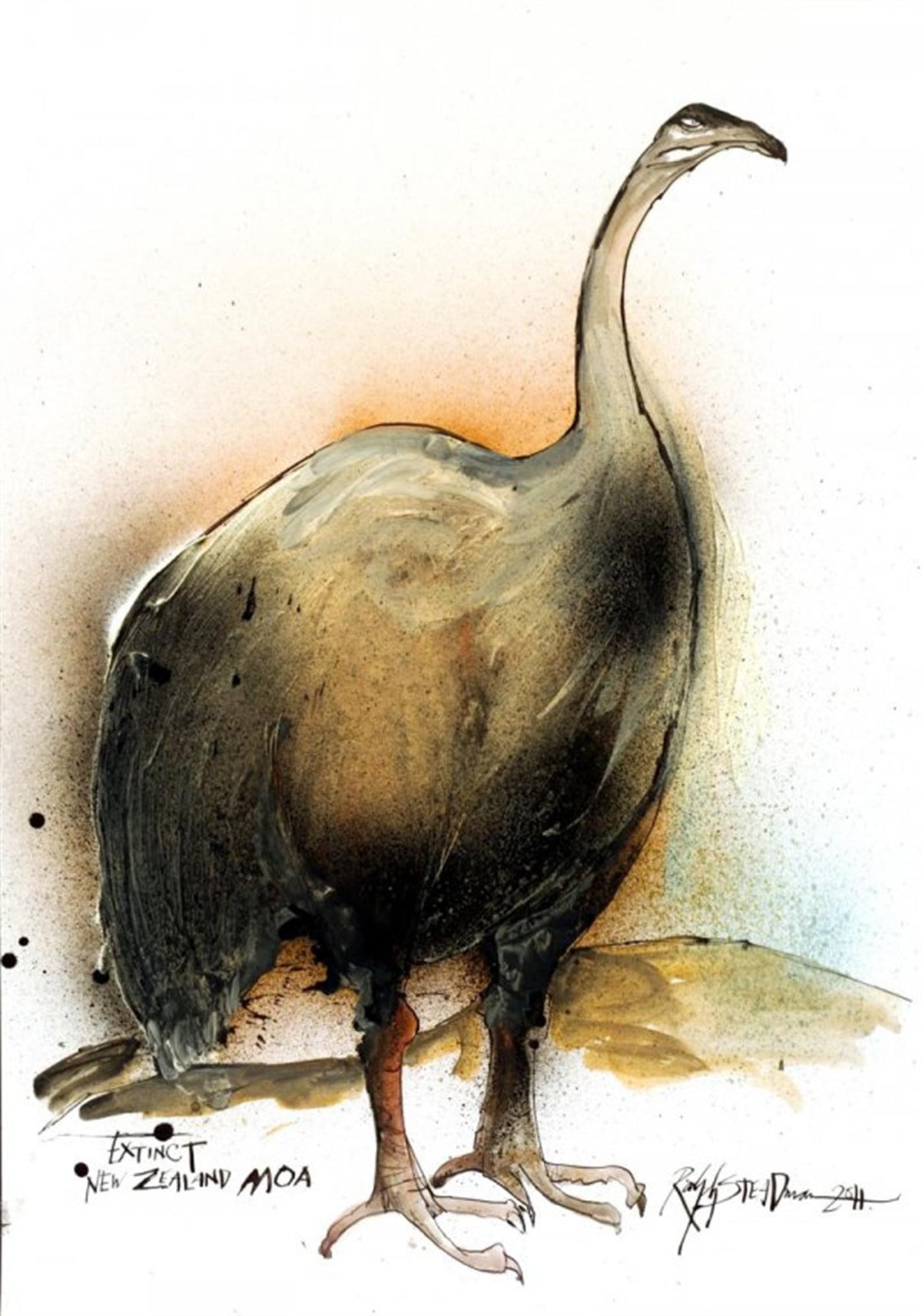 New Zealand MOA